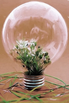 light-bulb-garden-sml